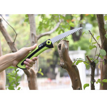 Eine Astsäge schneidet einen Ast ab.