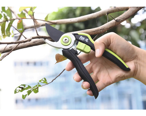 Person hält eine Gartenschere der Marke for_q beim Beschneiden eines Astes.
