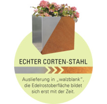 Blumenkasten aus Cortenstahl mit Pflanzen