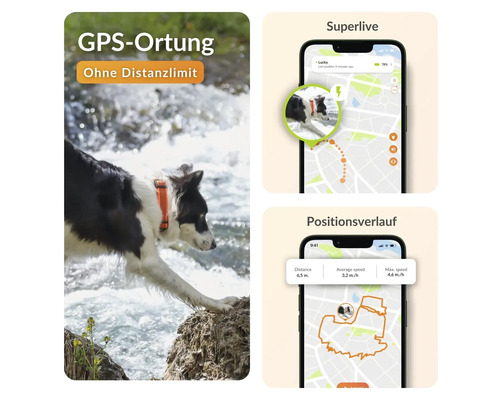 Image du produit : Chien avec collier traceur GPS au bord de la rivière et application smartphone pour le positionnement