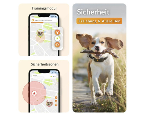 Présentation d'une application de suivi pour chiens avec module d'entraînement, zones de sécurité et un beagle portant un collier de suivi avec un bâton, illustrant la sécurité, l'éducation et la protection contre la fugue