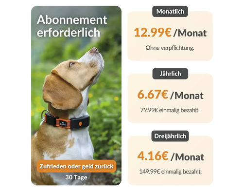 Chien avec collier traceur GPS et informations sur les prix d'abonnement