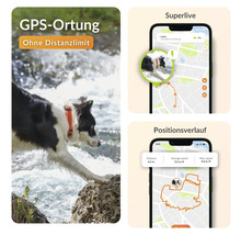 Localisation GPS pour animaux de compagnie avec application smartphone associée pour déterminer la position d'un chien.
