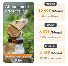 Chien avec collier de suivi et informations sur les prix d'abonnement