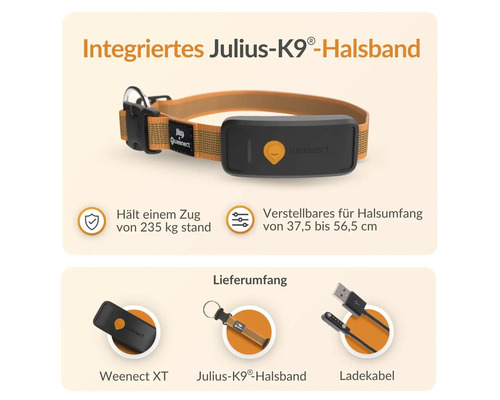 Collier pour chien Julius K9 avec traceur GPS Weenect intégré et câble de chargement
