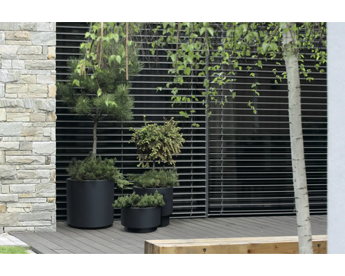 Außenbereich mit Pflanzen in Töpfen vor einem modernen Gebäude