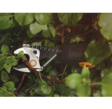 Sécateur à batterie coupant une branche parmi des feuilles vertes