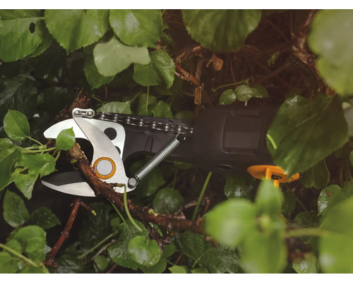Sécateur à batterie coupant une branche parmi des feuilles vertes