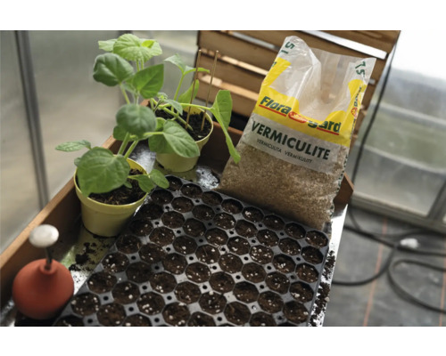 Plaque de semis avec terre, sac de vermiculite et jeunes plants en pots