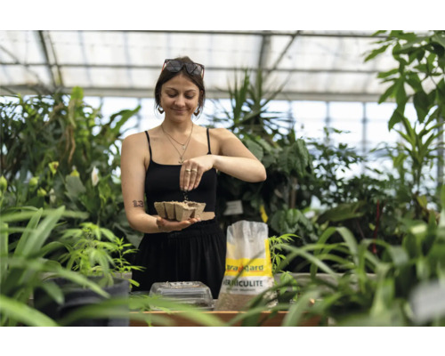 Une femme sème des graines dans une plaque de culture dans une serre.