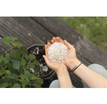 Hände halten Blähperlit für Pflanzen vor einem Topf mit Pflanze.