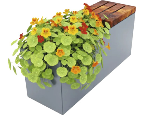 Blumenkasten mit Kapuzinerkresse und Holzbänken