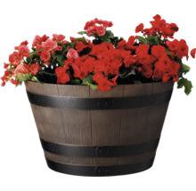 Blumentopf in Fassoptik mit roten Blumen