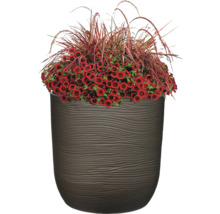 Blumentopf mit roten Blüten und Ziergras