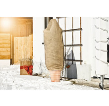 Pflanze im Topf mit Winterschutz im Schnee