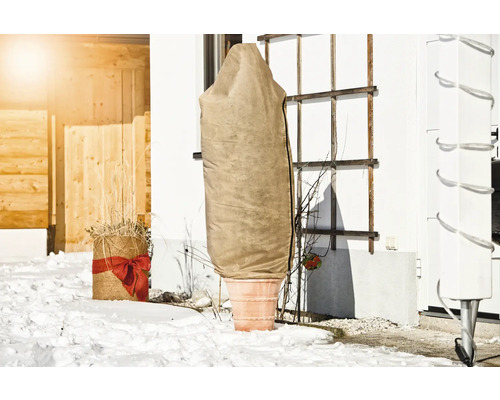 Pflanze im Topf mit Winterschutz im Schnee