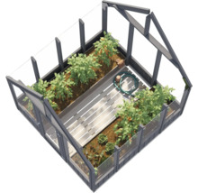 Serre avec plantes et accessoires de jardinage