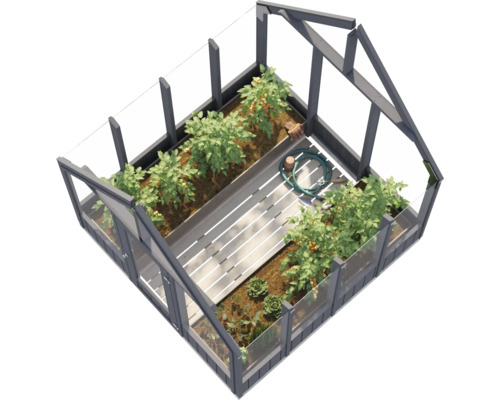 Serre avec plantes et accessoires de jardinage