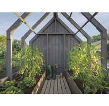 Gewächshaus mit Tomatenpflanzen, Salat und Karotten in Hochbeeten