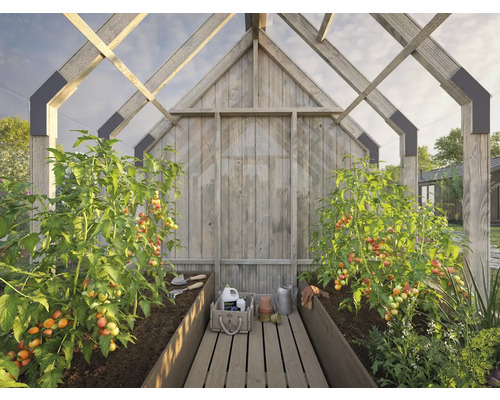 Serre avec plants de tomates et outils de jardinage