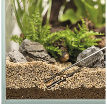 Nahaufnahme eines Aquariums mit Kies, Steinen, Pflanzen und einer Pinzette, die eine Kapsel hält.