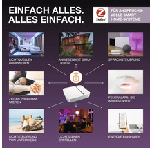 Bosch Smart Home System zur Lichtsteuerung, Steuerung von Anwesenheitssimulationen, Programmierung von Zeiten, Erstellung von Lichtszenen, Sprachsteuerung, Energie sparen und Feueralarm bei Abwesenheit