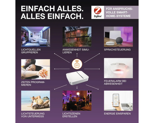 Bosch Smart Home System zur Lichtsteuerung, Steuerung von Anwesenheitssimulationen, Programmierung von Zeiten, Erstellung von Lichtszenen, Sprachsteuerung, Energie sparen und Feueralarm bei Abwesenheit