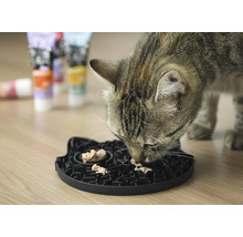 Chat mange dans une gamelle interactive.