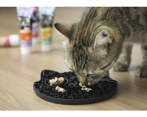 Chat mange dans une gamelle interactive.