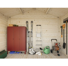 Intérieur d'une cabane de jardin en bois avec armoire métallique, échelle, skis et outils de jardin.
