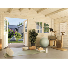 Abri de jardin lumineux avec équipement de fitness, tapis de yoga et vue sur le jardin.