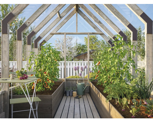 Gewächshaus mit Pflanzen, Tisch und Stühlen für den Gartenanbau