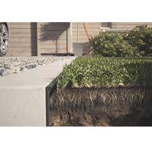 Gros plan sur une bordure de gazon avec de l'herbe et une couche de sol