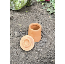 Ton Topfglocke mit Deckel im Gartenboden