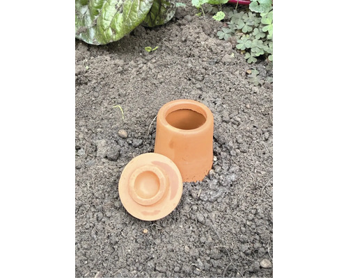 Ton Topfglocke mit Deckel im Gartenboden