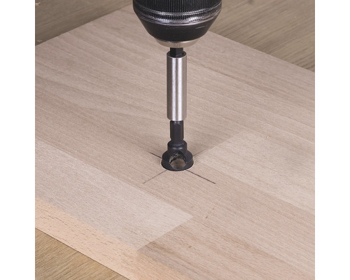 Holzbohrer im Einsatz an einem Holzbrett