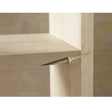 Detailansicht eines Regalbretts, das mit einer Schraube an der Seitenwand befestigt ist