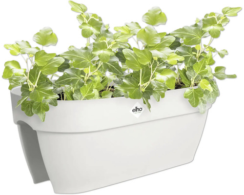 Jardinière blanche avec lierre