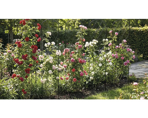 Gartenszene mit Rosen auf einer Rankhilfe