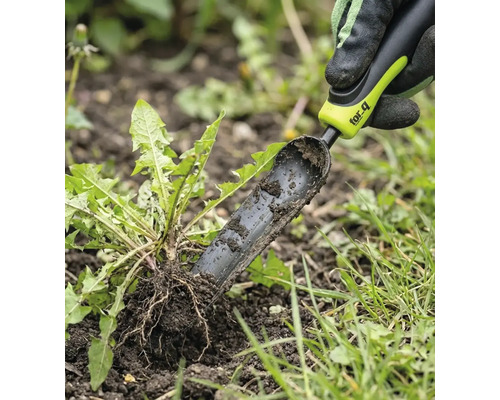 Unkrautstecher im Einsatz zum Entfernen von Löwenzahn