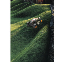 Mähroboter auf einem Rasenhügel