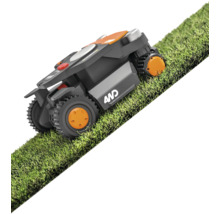 Mähroboter auf Rasen