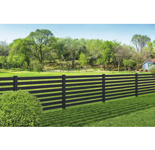 Schwarzer Metallzaun im Garten