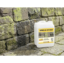Kanister Grünbelagentferner vor Steinwand mit Grünbelag