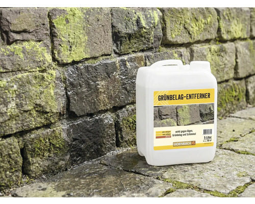 Kanister Grünbelagentferner vor Steinwand mit Grünbelag