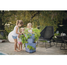 Trois enfants regardent une pyramide végétale plantée dans le jardin.