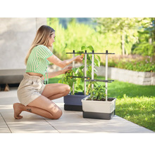Femme travaille dans le jardin avec des plantes dans des bacs à plantes avec support de croissance.