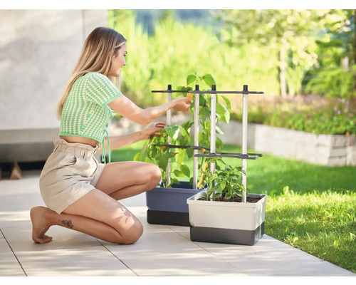 Femme travaille dans le jardin avec des plantes dans des bacs à plantes avec support de croissance.