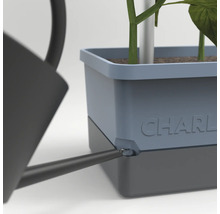 Gros plan d'un arrosoir arrosant un pot de fleurs CHARLY avec une plante.