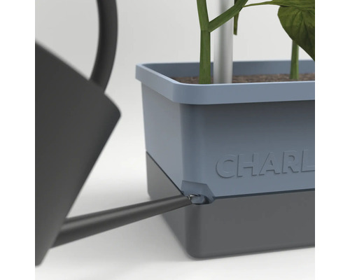 Gros plan d'un arrosoir arrosant un pot de fleurs CHARLY avec une plante.
